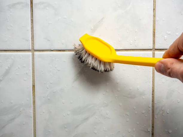 Best Mold Remediation  in Berwick, LA