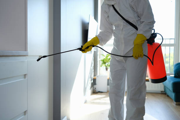 Berwick, LA Mold Removal Company