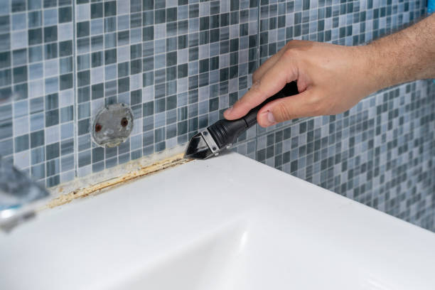 Best Mold Testing  in Berwick, LA